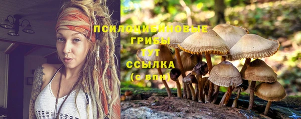 jwh Алексеевка